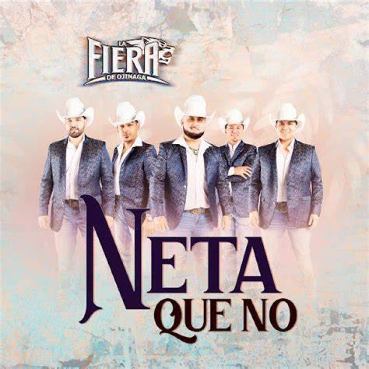 'Neta Que No' - mexicano Canción