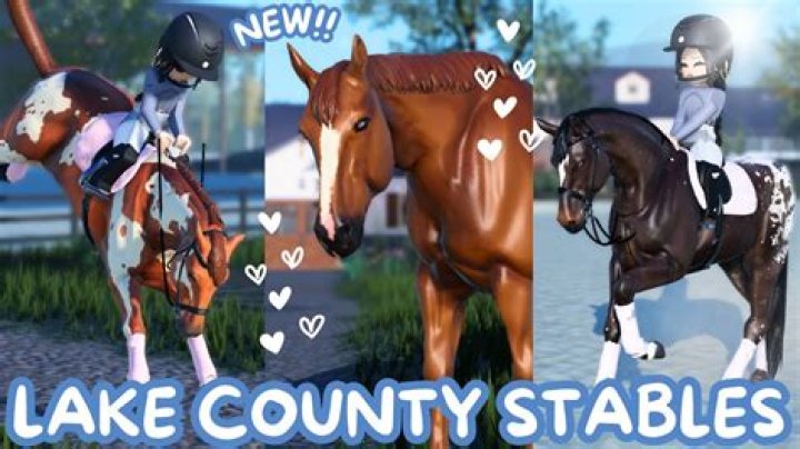 'Six-star' stables to pamper horses