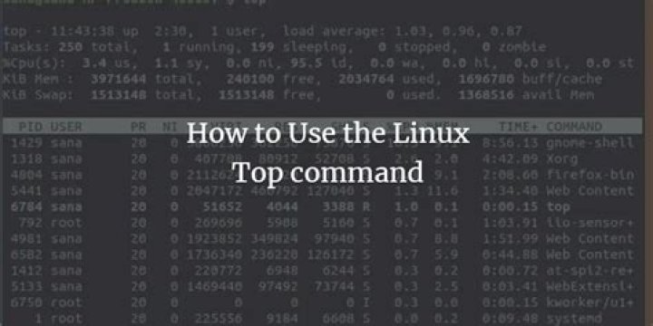 10 Ways to Use the top Command in Linux