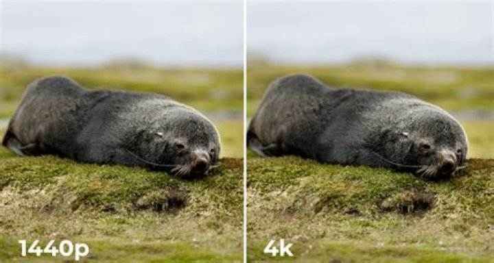 1440p vs. 4K: What Is the Difference?
