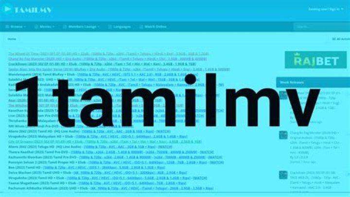 1tamilmv.net login safely, analysis & comments