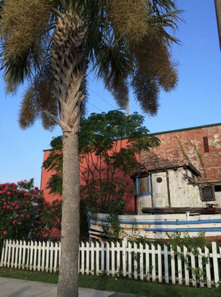 #2,025 Apalachicola Evening.
– Laurel Mercantile