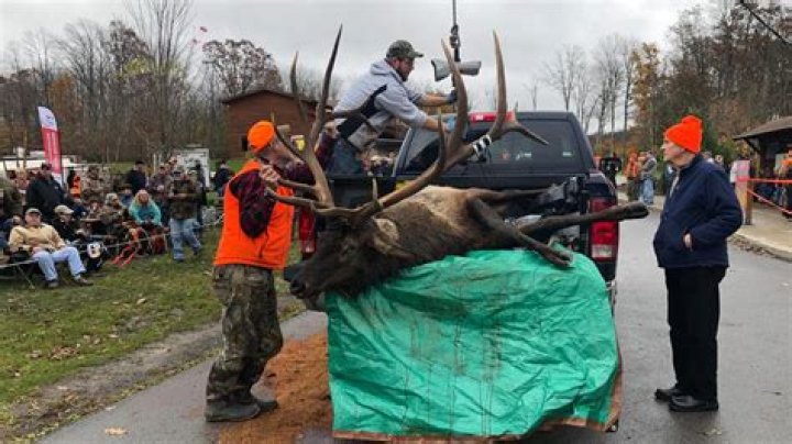 2018 Pa. elk hunt kicks off in Benezette