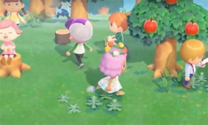 5 Animal Crossing: New Horizons Multiplayer Activities to Do with Your Friends