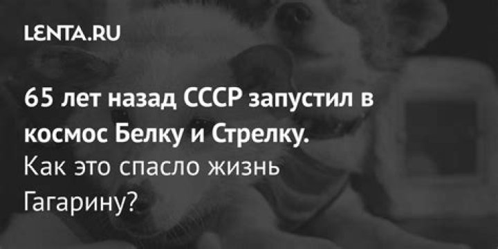 Правила русского языка обновят впервые за 65 лет. Каким теперь станет правильный русский?: Общество: Россия: Lenta.ru