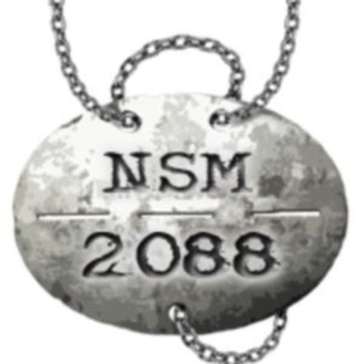88nsm.com login safely, analysis & comments