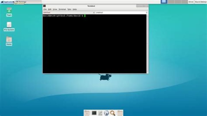 A BSD-Based Alternative to the Linux Desktop