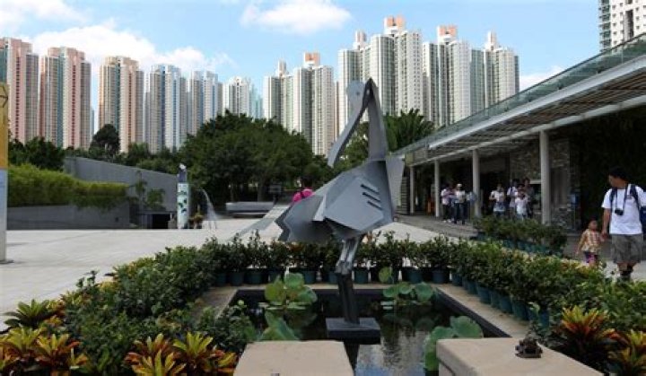 A dark nickname, oysters and wetlands: Tin Shui Wai before Hong Kong’s protest chaos