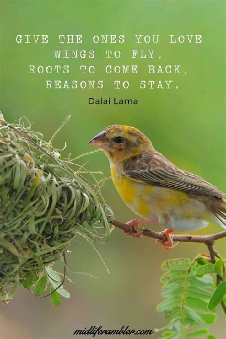 	A DRAWLING CARD PARK OVERALL PUTS A HUMOROUS ACCENT — HOWEVER REHEARSED — ON EMPTY NEST.	