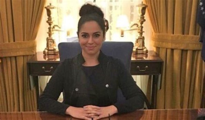 Adelle Nazarian Wiki, Age, Bio, Biography【 BreitBart 】Wikipedia, Hindu