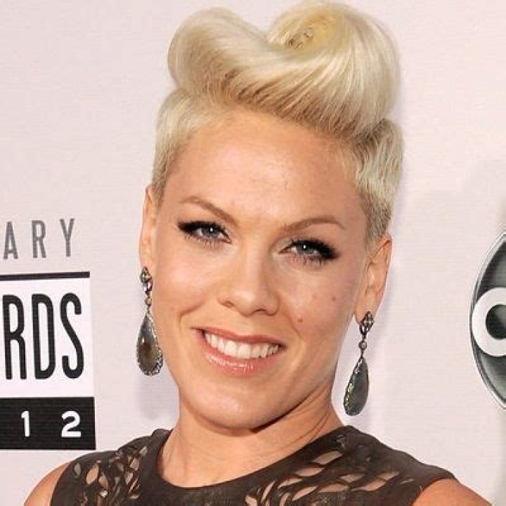 Alecia Beth Moore- Bio, Age, Net Worth, Height, Single, Nationality, Career