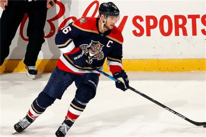 Aleksander Barkov Latest Car Collection & Net Worth