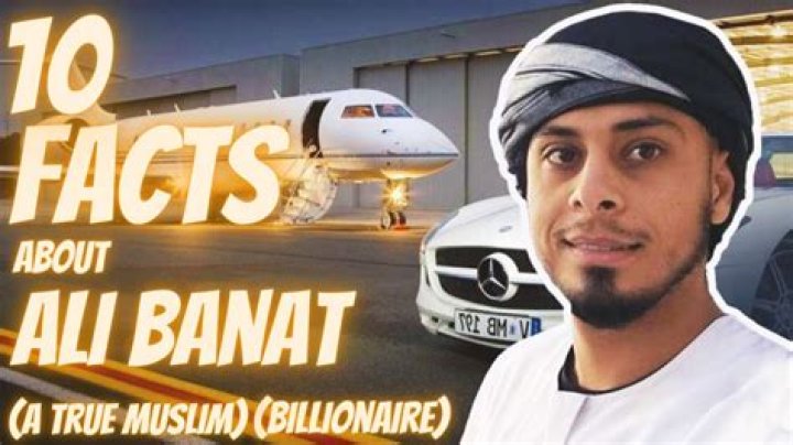 Ali Banat Vermögen