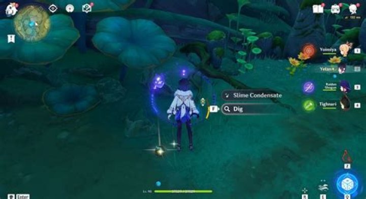 All 13 Mysterious Clipboard locations in Sumeru in Genshin Impact