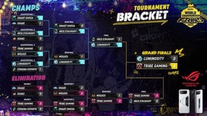 All CoD Mobile World Championship 2020 winners: final results