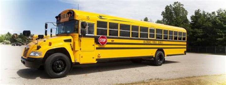 Allendale Public School District - Michigan