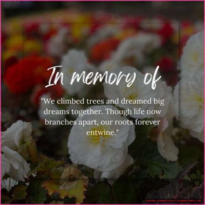 Andrew Tedesco Obituary: A Life Remembered