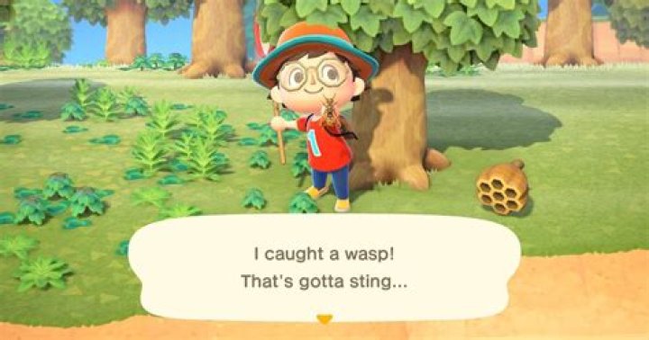 Animal Crossing New Horizons: How to Catch a Wasp