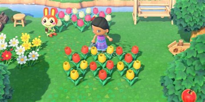 Animal Crossing New Horizons: How to Get All Toy Day Items