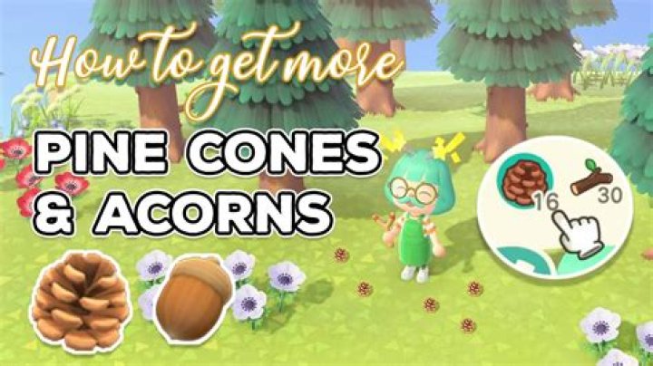 Animal Crossing New Horizons: How to Get Pine Cones & Acorns