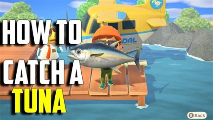 Animal Crossing New Horizons: How to Get Tuna