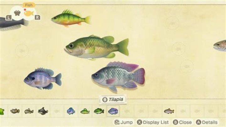Animal Crossing New Horizons June Fish