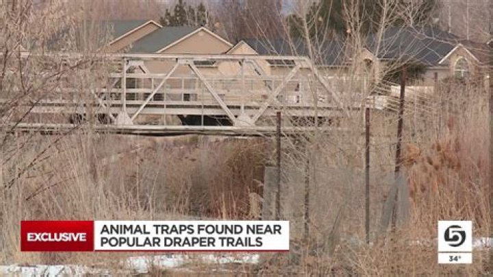Animal traps found near popular trails in Draper