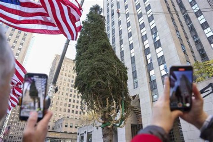 	Árbol de Navidad del Rockefeller Center llega a Nueva York	