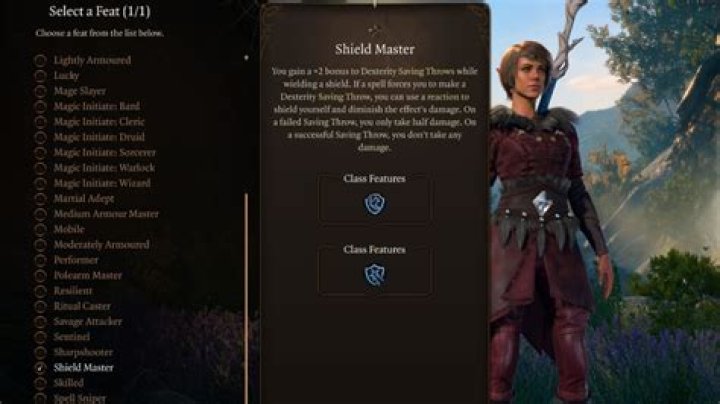 Are There Any Official Tower Shield Feats?