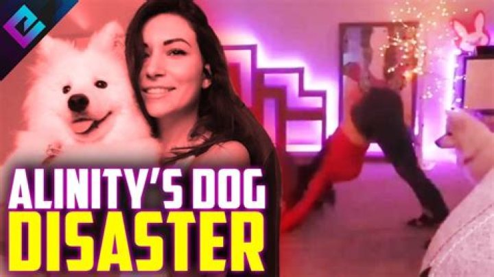 Artist claims Twitch banned him for drawing Alinity’s dog controversy