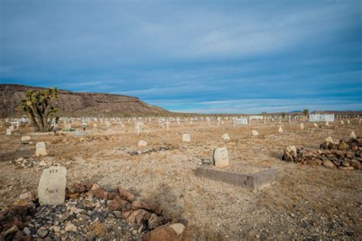 Austin Wingfield Obituary, Learn More About Austin Wingfield – Death