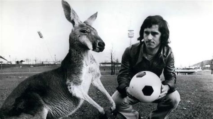 Australien in die Welt – 11FREUNDE