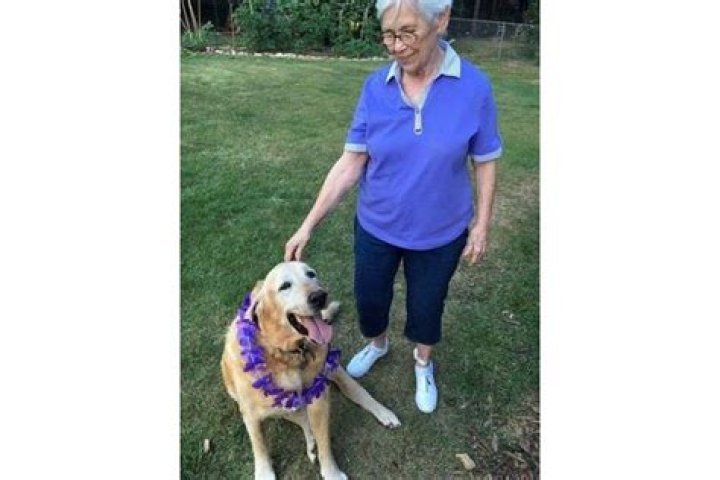 Barbara Crews Obituary, Forever In Our Heart Barbara Crews