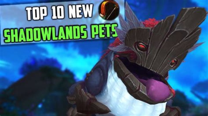 Best Hunter Pets Shadowlands Guide