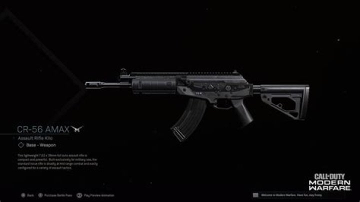 Best Warzone AMAX class loadout: Attachments, Perks, Setup