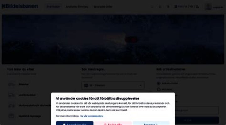bildelsbasen.se login safely, analysis & comments