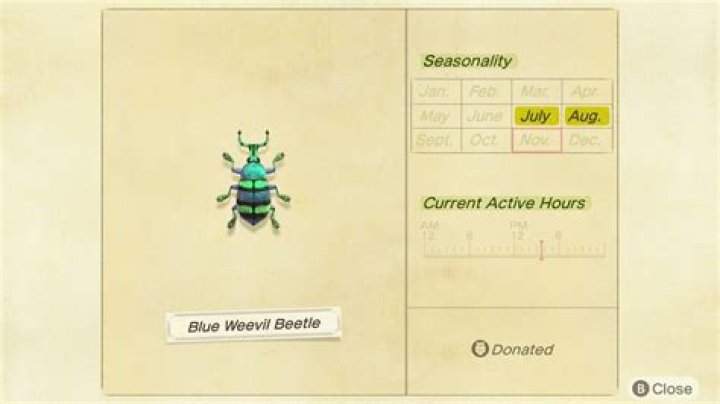 Blue Weevil Beetle New Horizons Now Available in Northern Hemisphere