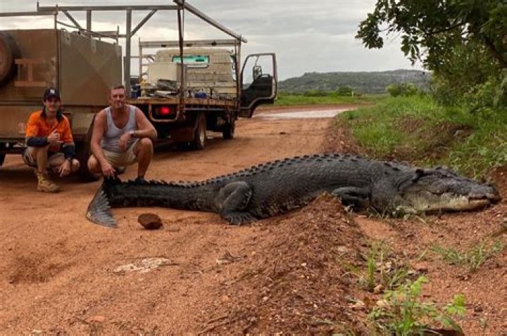 	BOOMER BASHING, CROC BAITING, CRUEL REALITY	