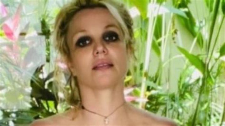 Brittney Spears Nude: A Comprehensive Insight Into The Pop Icon's Life And Controversies