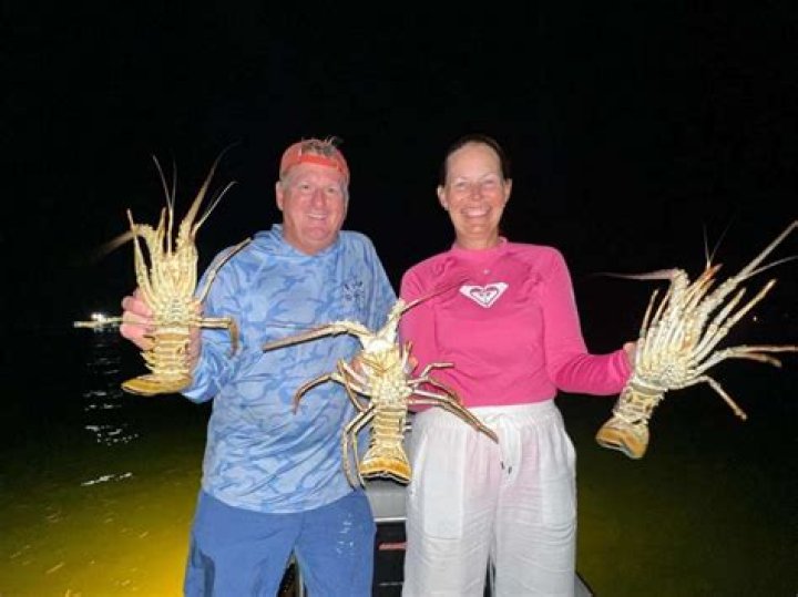 	BULLY FOR LOBSTER	