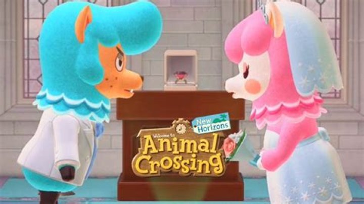 Can You Get Married in Animal Crossing New Horizons?