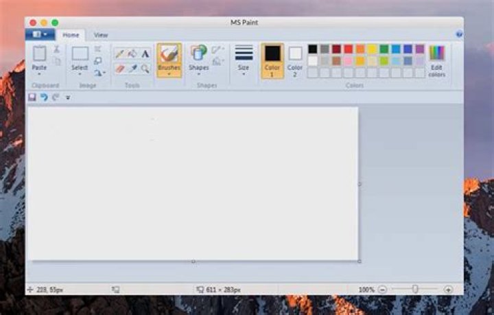 Can You Get Microsoft Paint for Mac?