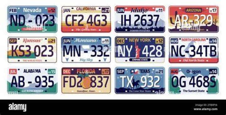 	CAR COVER OWNERS MAY HAVE TO UNCOVER LICENSE PLATES	