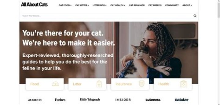 CatMovies HD: The Ultimate Destination For Cat Lovers