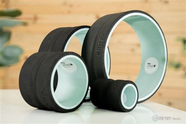 Chirp Wheel Net Worth 2024