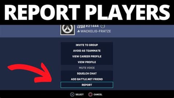 Chocolate Rain star under fire after reporting wrong Overwatch player for 'n-word' slur
