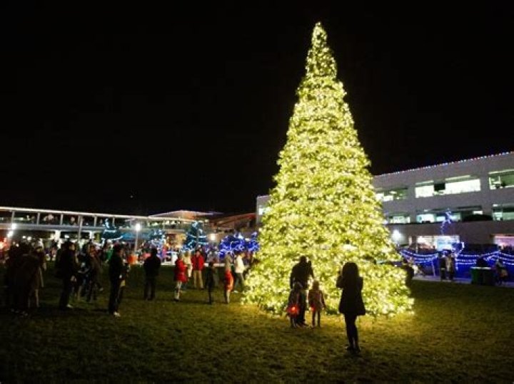 Christmas kicks off Dec. 2 at Mason Park | News