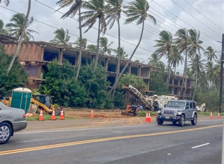 	COCONUT PALMS LOSING FAVOR	