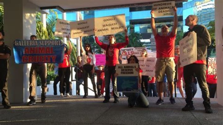	Controversial SeaQuest Aquarium gets approvals to open at Fort Lauderdale mall	