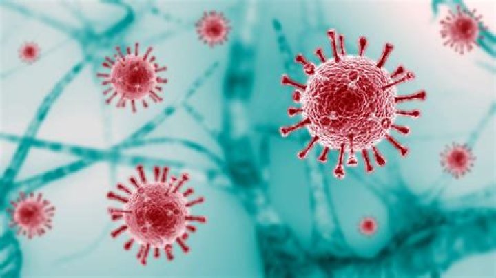 国家卫健委：新型冠状病毒肺炎英文名称修订为COVID-19-新华网